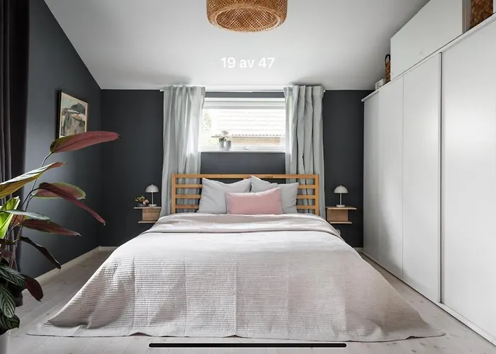 Apartment Close To Central City
